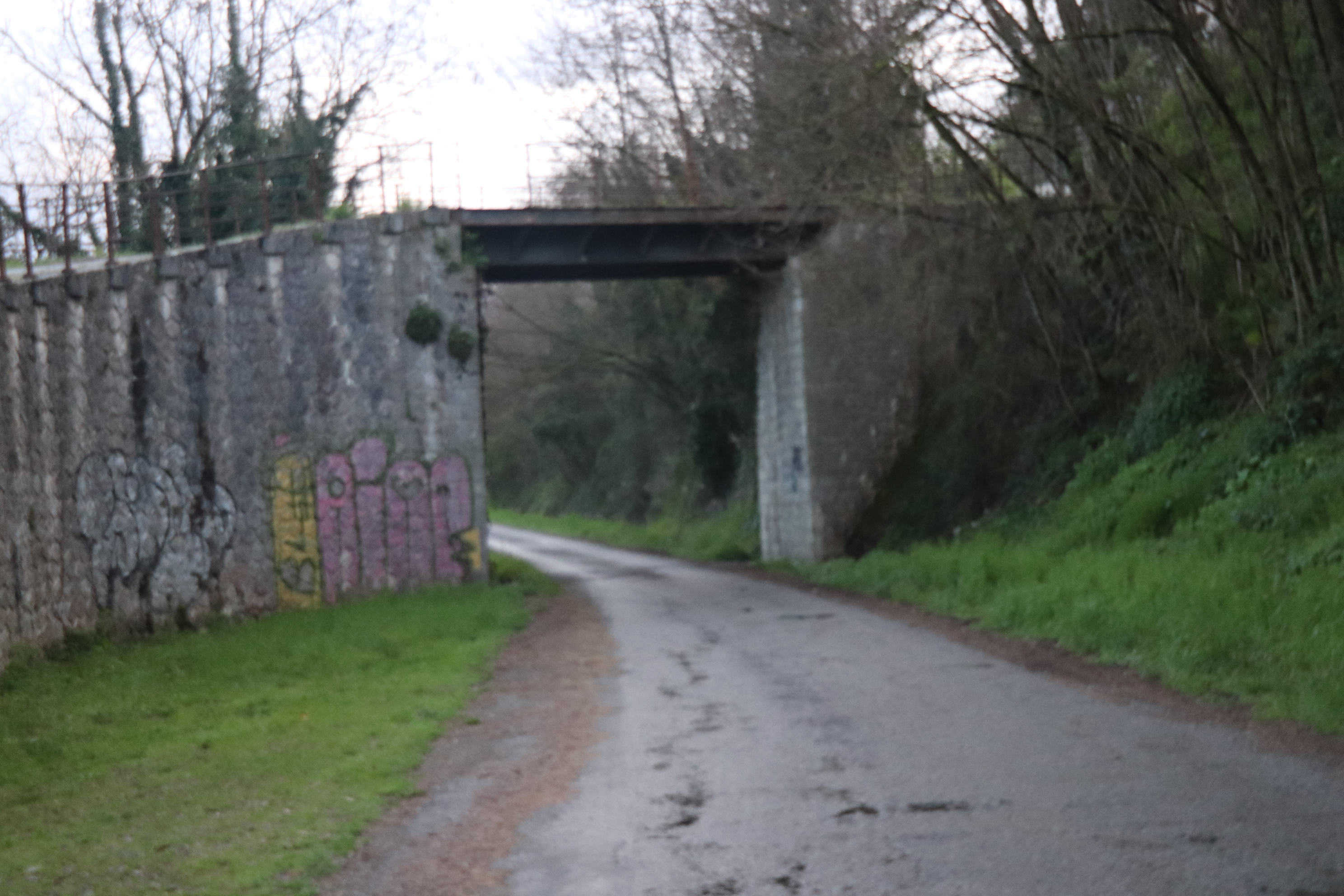 IMG_0347