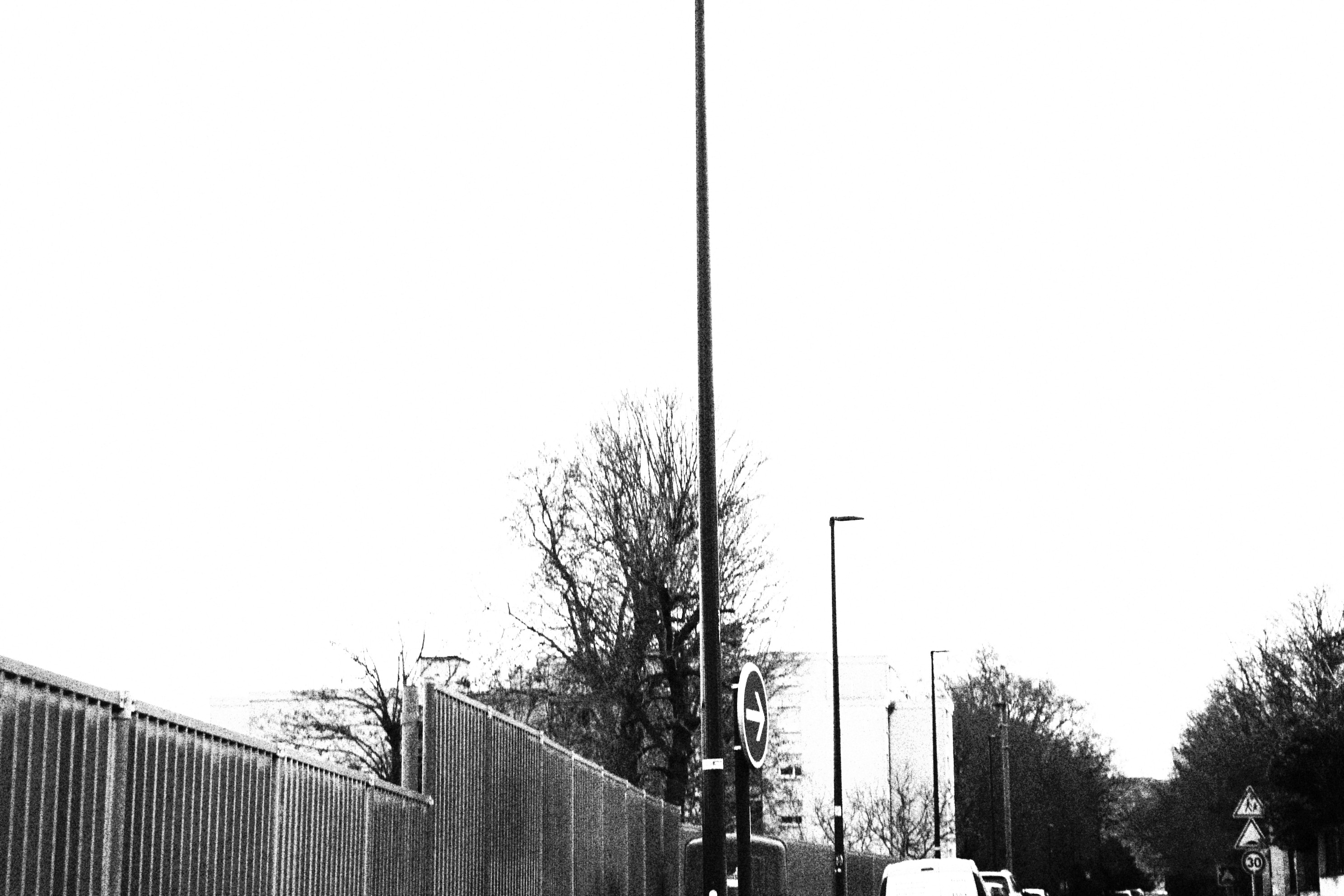 IMG_8201